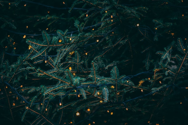 Christmas Candles